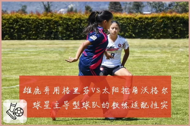 雄鹿弃用格里芬vs太阳挖角沃格尔：球星主导型球队的教练适配性实验